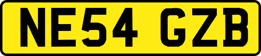 NE54GZB