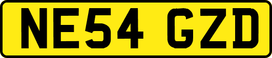 NE54GZD