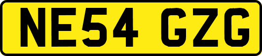NE54GZG