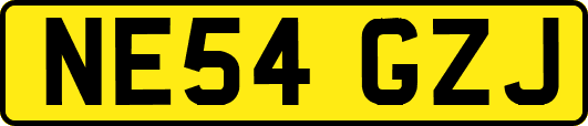 NE54GZJ