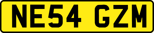 NE54GZM