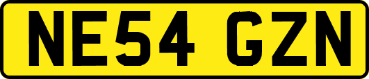 NE54GZN