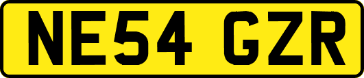 NE54GZR