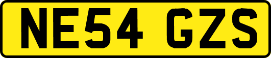 NE54GZS