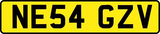 NE54GZV