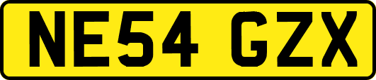 NE54GZX