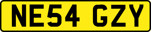 NE54GZY