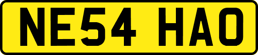 NE54HAO