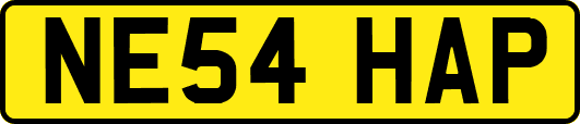 NE54HAP