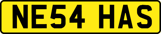 NE54HAS