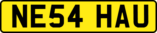 NE54HAU