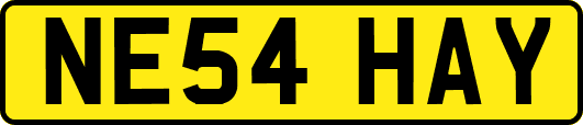 NE54HAY