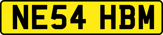 NE54HBM