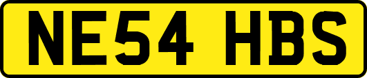 NE54HBS