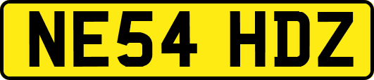 NE54HDZ
