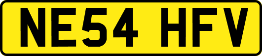 NE54HFV