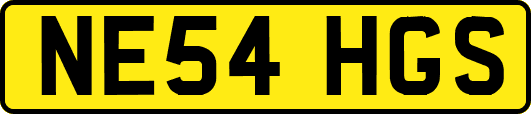NE54HGS