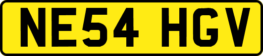NE54HGV