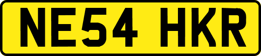 NE54HKR