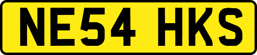 NE54HKS