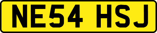 NE54HSJ