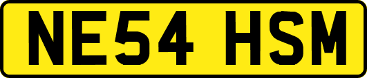 NE54HSM