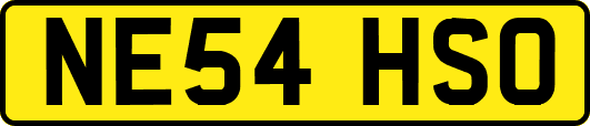 NE54HSO