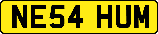 NE54HUM