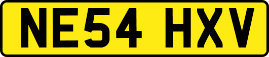 NE54HXV