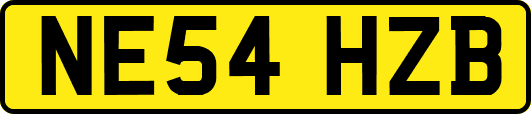 NE54HZB