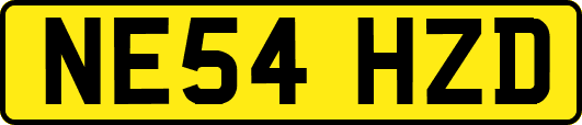 NE54HZD