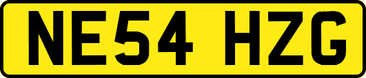 NE54HZG