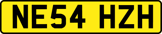 NE54HZH