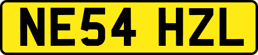 NE54HZL