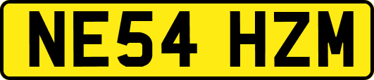 NE54HZM