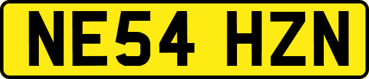 NE54HZN