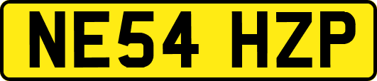 NE54HZP