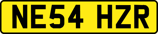 NE54HZR
