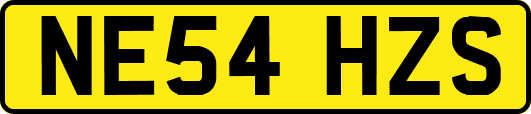 NE54HZS