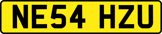NE54HZU