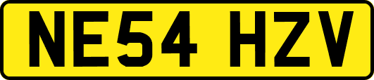 NE54HZV