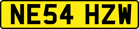 NE54HZW