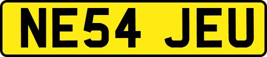 NE54JEU