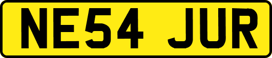 NE54JUR