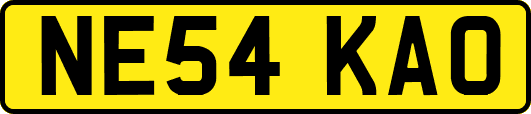NE54KAO