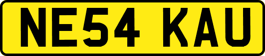 NE54KAU