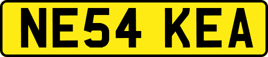 NE54KEA