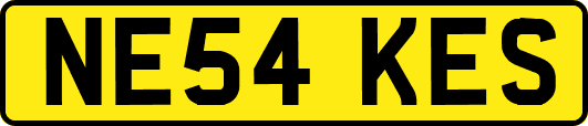 NE54KES