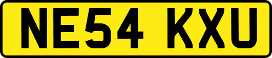 NE54KXU