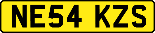 NE54KZS